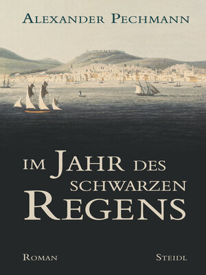 cover image of Im Jahr des schwarzen Regens